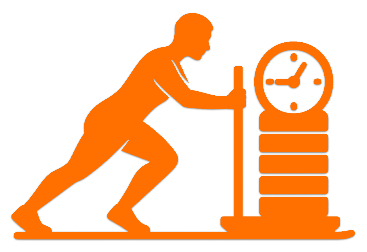 Executive Functional Fitness